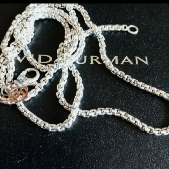 David Yurman Other - David yurman chain necklace